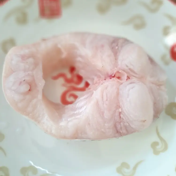 Hình ảnh 1 Khoanh Cá Hú ( size lớn )
