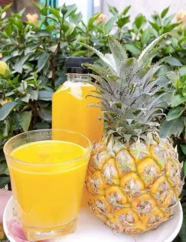 Hình ảnh Nước ép dứa