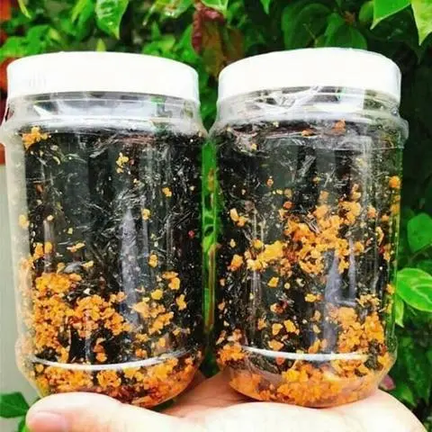 Hình ảnh Rong Biển
