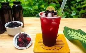Hình ảnh Trà dâu tằm hạc đác