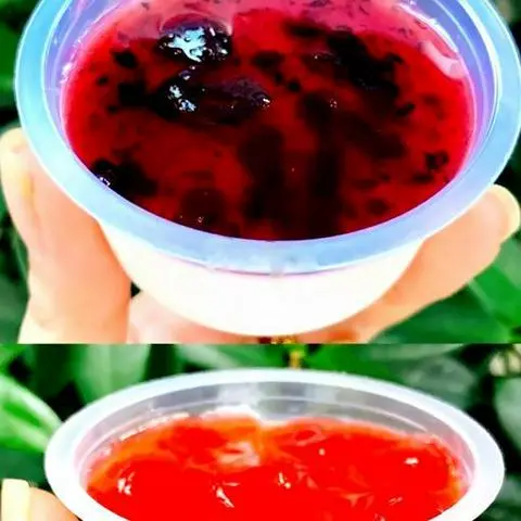 Hình ảnh Panna cotta trái cây
