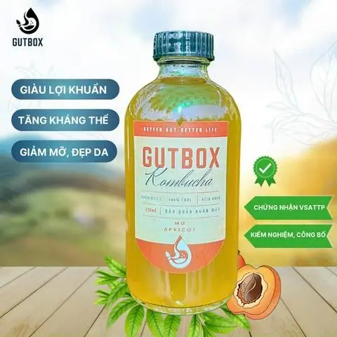 Hình ảnh Kombucha Mơ
