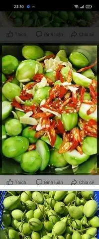 Hình ảnh Cóc non + muối tây ninh