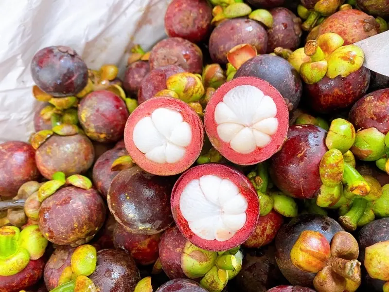 Hình ảnh Măng Cụt Thái (hộp 500g)