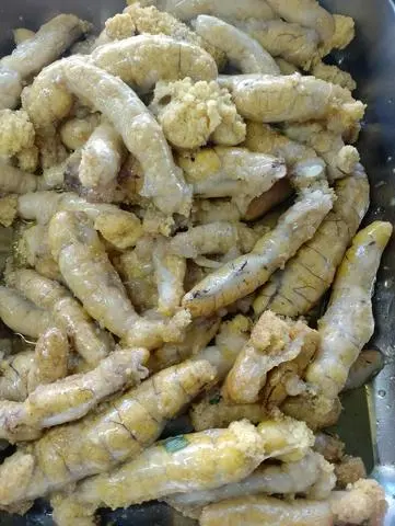 Hình ảnh Bánh canh trứng cá, cá lóc 