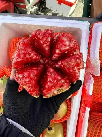 Hình ảnh Ép Lựu 
