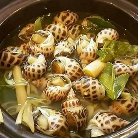 Hình ảnh Ốc hương hấp