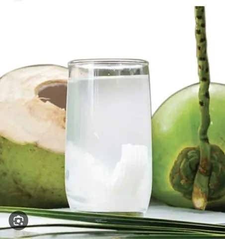 Hình ảnh DỪA LY NHỎ