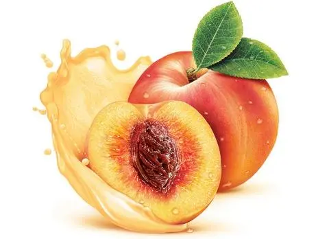 Hình ảnh Trà đào dầm