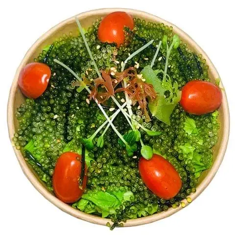 Hình ảnh SD - salad rong nho