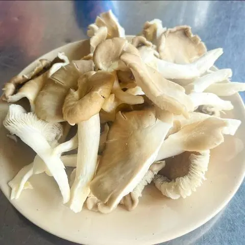 Hình ảnh Nấm thêm 