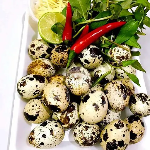 Hình ảnh Cút lộn - 10 trứng