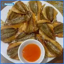 Hình ảnh Cá Chỉ Vàng 10 Con