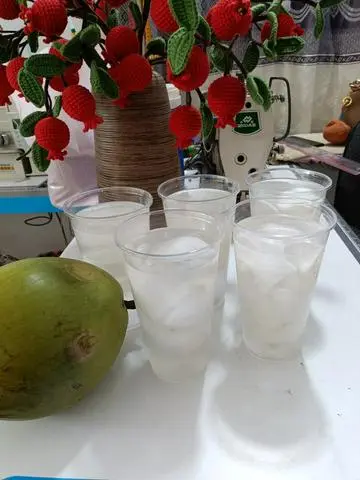 Hình ảnh dừa tắc