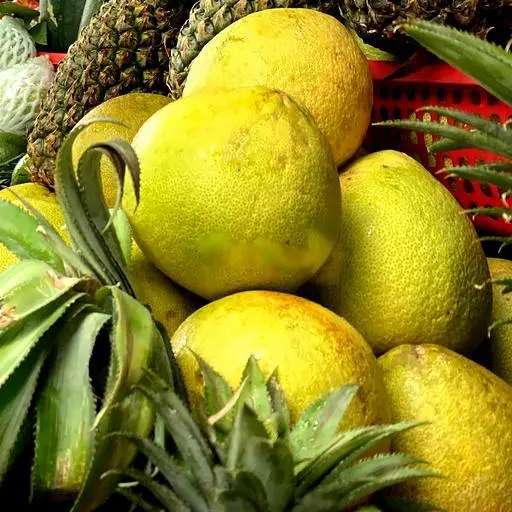 Hình ảnh ÉP BƯỞI CÓ TÉP/ Chai nguyên chất, không đường không đá