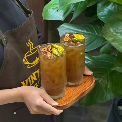 Hình ảnh Trà Cúc Hải Phòng (Đá)