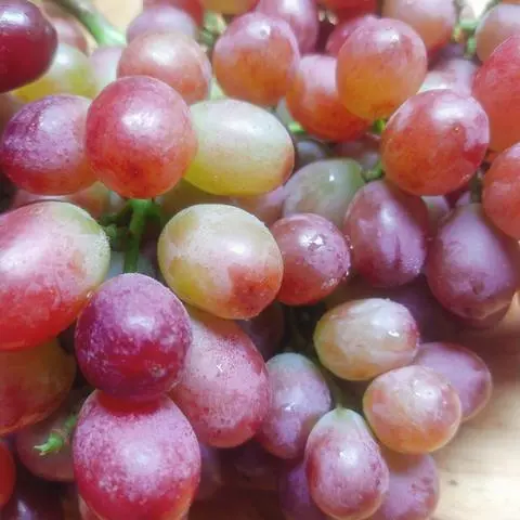 Hình ảnh Nho đỏ không hạt 300gr