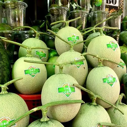 Hình ảnh ÉP DƯA LƯỚI/ Chai nguyên chất, không đường không đá