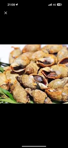Hình ảnh Ốc Cà Na rang muối