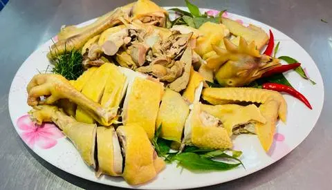 Hình ảnh gà