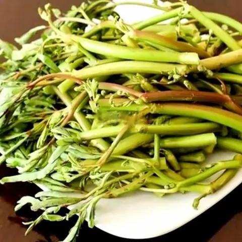 Hình ảnh Rau nhút
