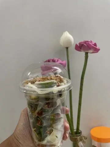 Hình ảnh Bánh Tráng Cuốn Bơ Hành 