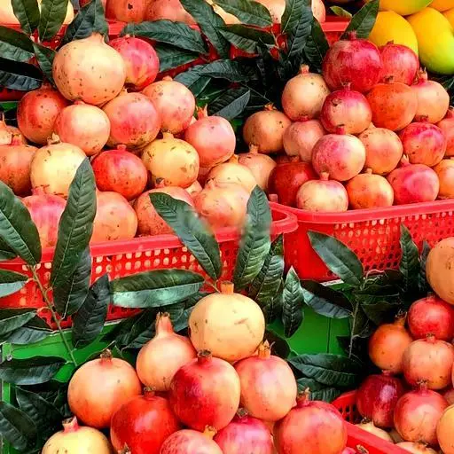 Hình ảnh ÉP LỰU/ Chai nguyên chất, không đường không đá