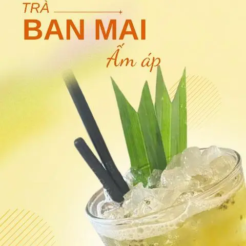 Hình ảnh Aloe Pandan - Trà Ban Mai
