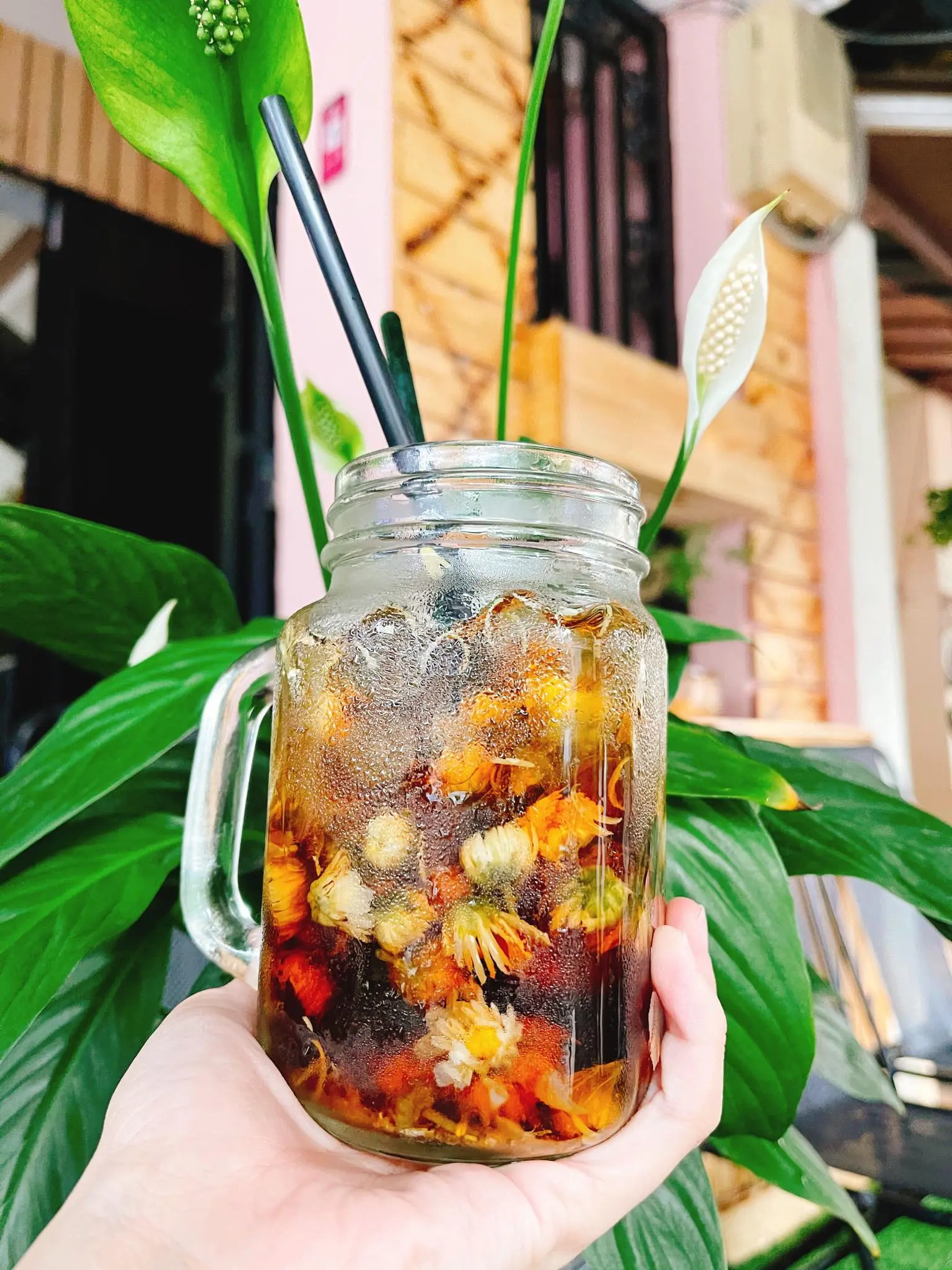 Hình ảnh Bông cúc la hán quả