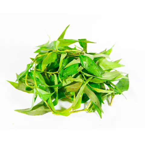 Hình ảnh 1 phần rau răm tươi xanh 