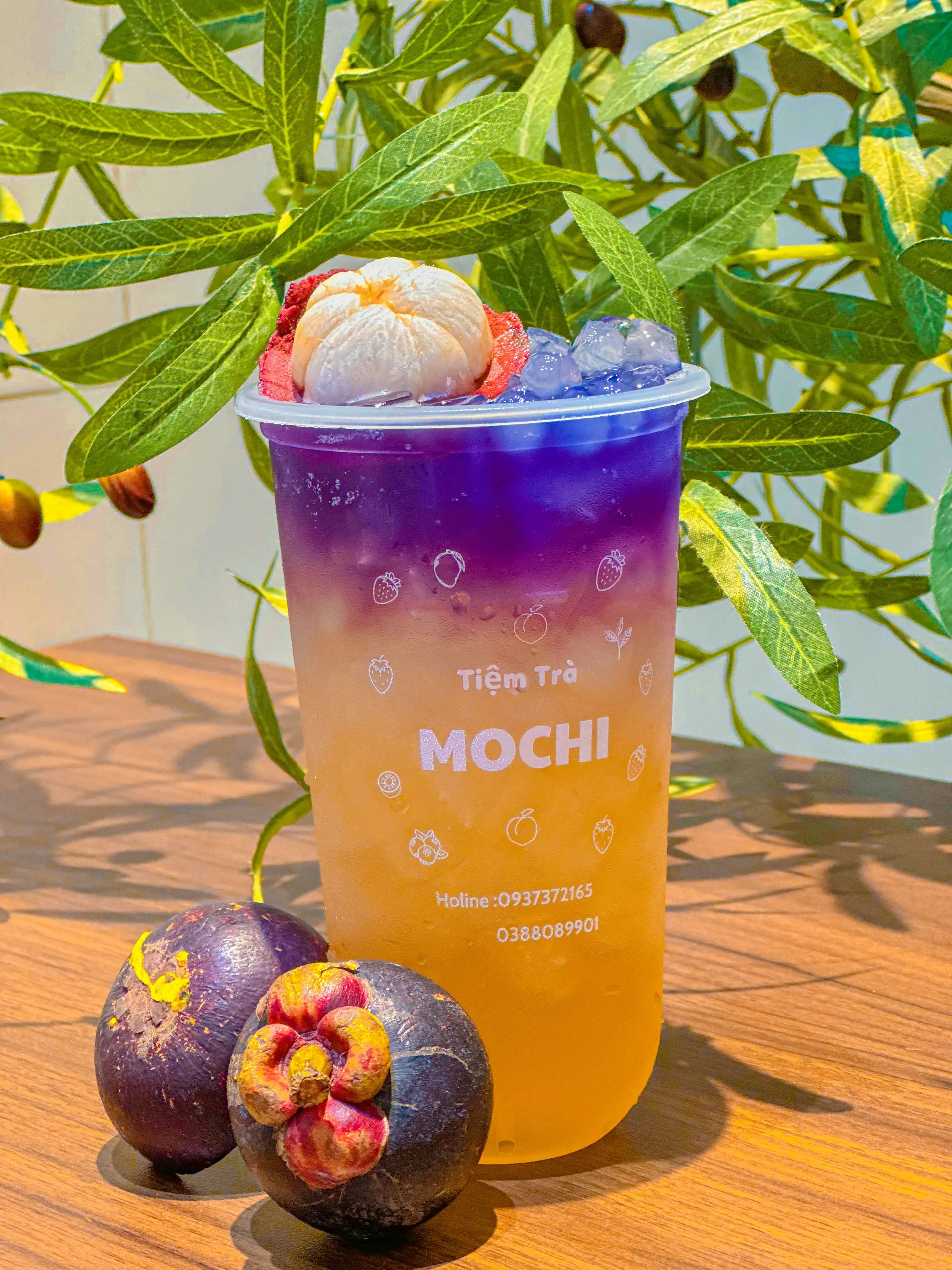 Hình ảnh Trà Măng Cụt