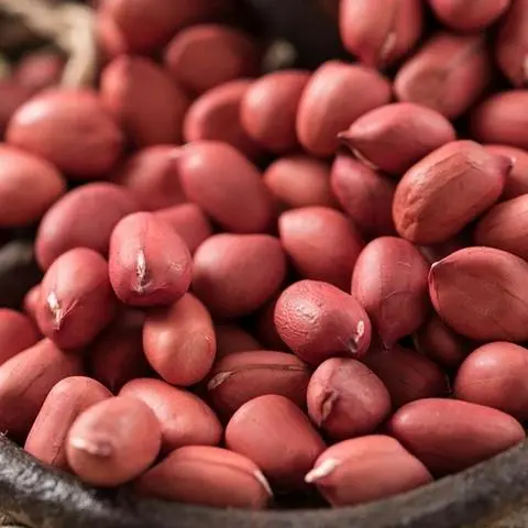 Hình ảnh Đậu Phộng Đỏ 