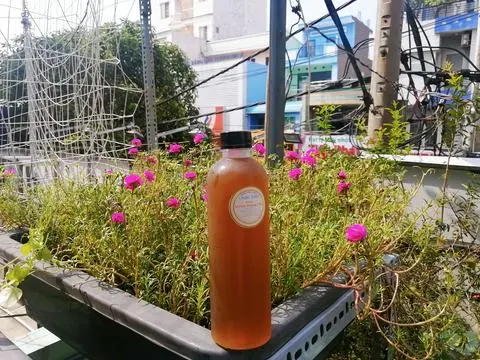 Hình ảnh Trà Atiso Bông Cúc