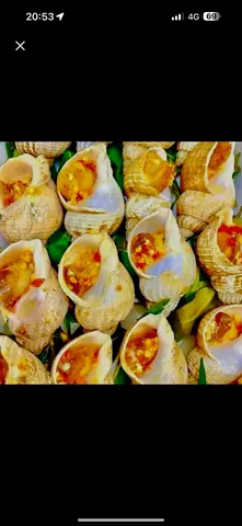 Hình ảnh Ốc Bulot nướng mắm