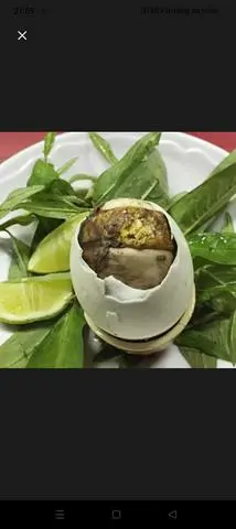 Hình ảnh hột vịt lộn 