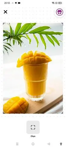 Hình ảnh Sinh tố Xoài 