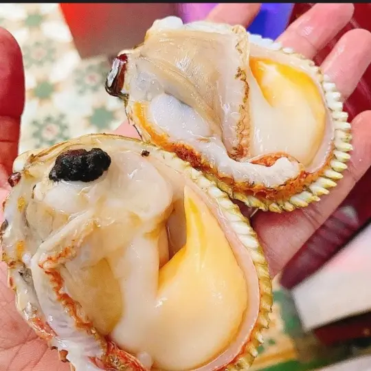 Hình ảnh SÒ DƯƠNG ĐẠI 1 CON SỐT BƠ TỎI