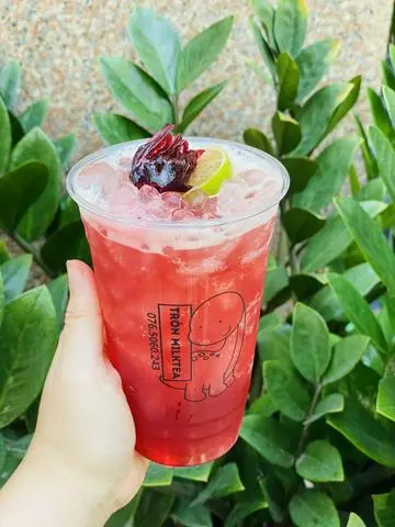 Hình ảnh Trà Hibiscus 