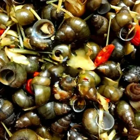 Hình ảnh Ốc đắng sả ớt