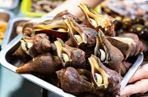 Hình ảnh Ốc đỏ nướng nước mắm