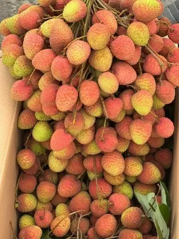 Hình ảnh Vải thiều 500g 