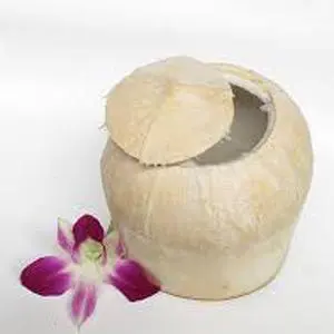 Hình ảnh Dừa tươi
