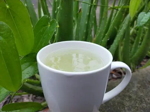 Hình ảnh Nha đam hương vải
