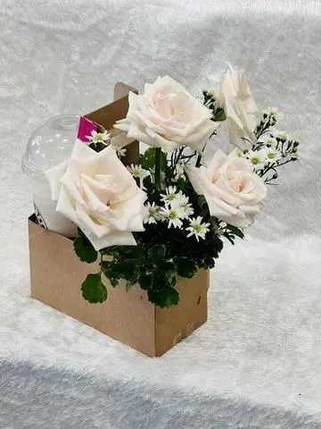 Hình ảnh SỮA TƯƠI ĐƯỜNG ĐEN +HOA Hồng
