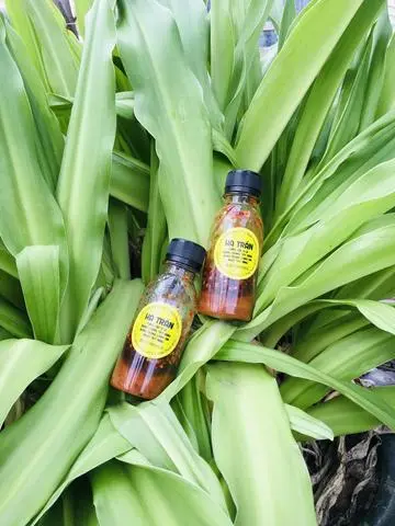 Hình ảnh Sốt Tắc 
