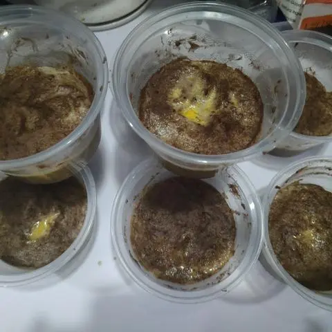 Hình ảnh pate gan chay