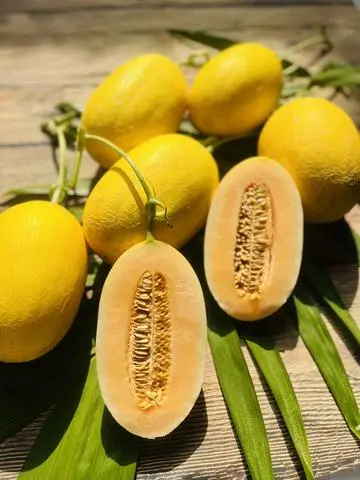 Hình ảnh Dưa Lưới Huỳnh Long - Trái (1,3 - 1,5Kg)