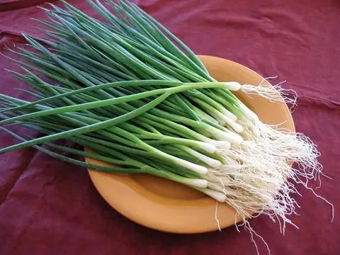 Hình ảnh HÀNH LÁ
