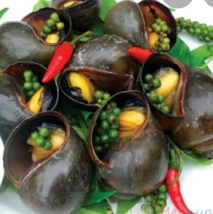 Hình ảnh ốc bươu xào sa tế 