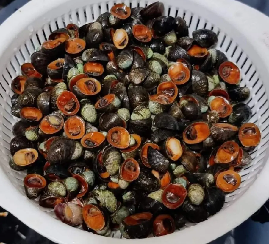 Hình ảnh Dừa size trung lớn xào bơ tỏi - NỬA KG